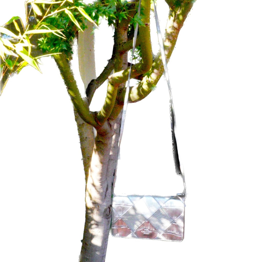 Donations for families in Maui.